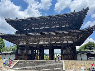 닌나지 사진 4