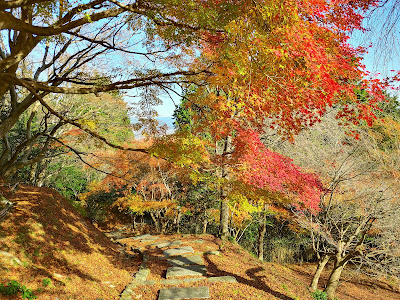 삼고사 사진 3