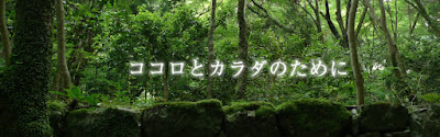 日本ヨーガ禅道院 사진 3
