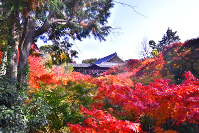 동복사 개산당 사진 5