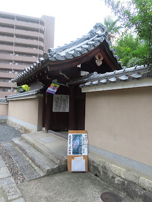 도지원 사진 3
