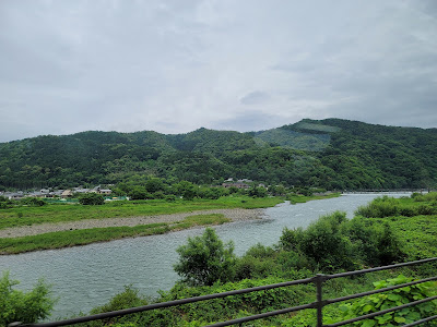 도지원 사진 4
