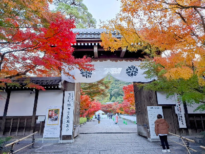 선림사 종문