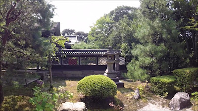 곤치인 사진 2