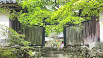 니손인 사진 2
