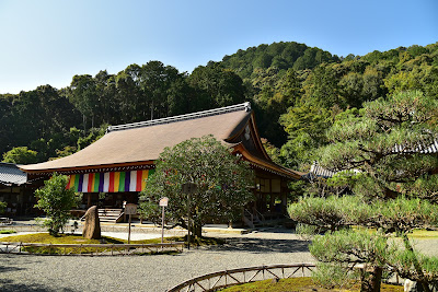 니손인 사진 5