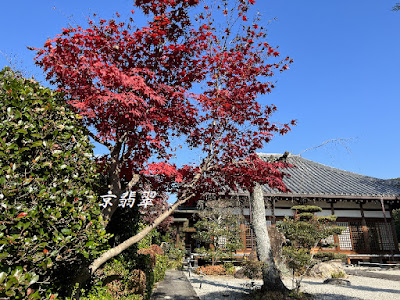인공사 사진 3