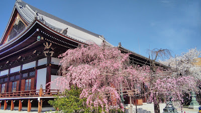 유세이지 사진 3