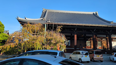 유세이지 사진 2
