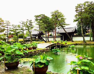 Shōkoku-ji Temple 사진 5