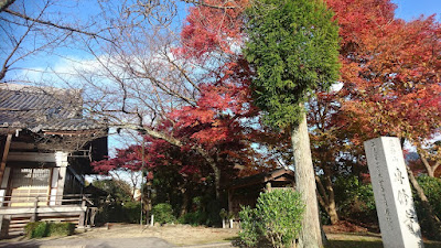 Senshu-ji Temple 사진 4
