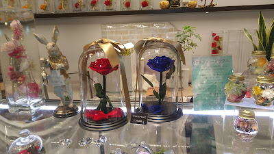 Ichiyon Plus AEON Mall Kyotokatsuragawa 사진 4