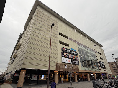 BiVi Nijo