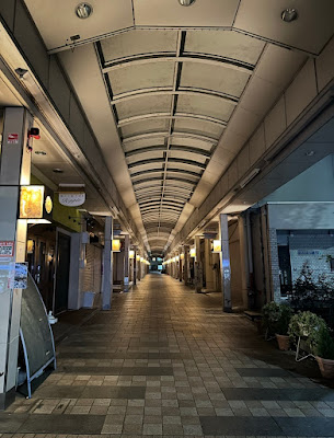 Plaza Shugakuin 사진 2
