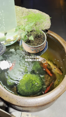 Roji Aquarium 사진 2