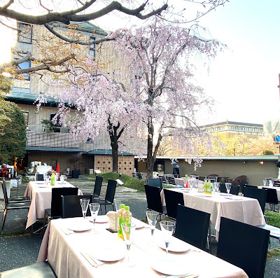 岡崎庵ビアガーデン 사진 3