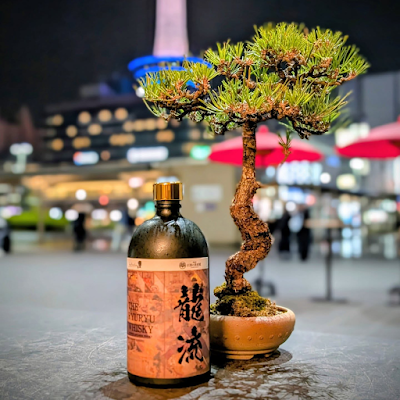 Kyoto Whisky Bar Liqueur Museum 사진 3