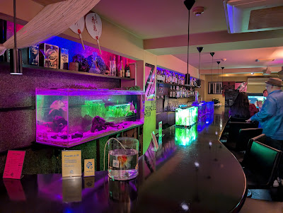 Bar Turtle Sour 사진 3