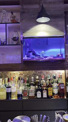 Fish 사진 2