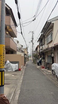 千鶴 사진 3