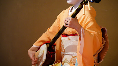 Maiko Cultural Experience 사진 5