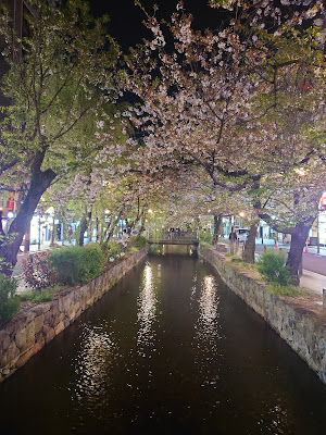 Spring 사진 4