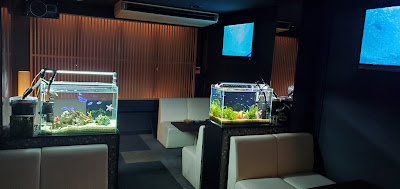 祇園 水族館バー Nox（ノックス） 사진 3