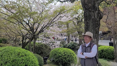 도지(교왕호국사) 사진 2