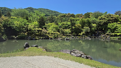 사이구 옛터 사진 2