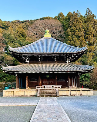 지온인 사진 4