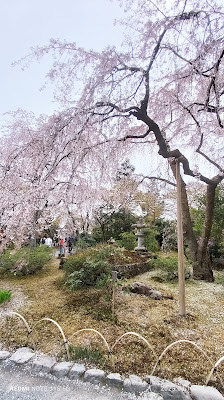 임천사 사진 5