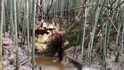 大岩神社 参道鳥居 사진 5