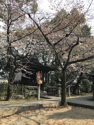 후지모리 신사 본전 사진 5