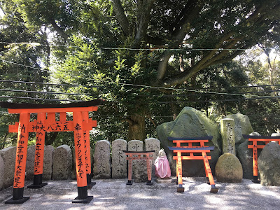 Neagarimatsu (High Price Pine) 사진 4
