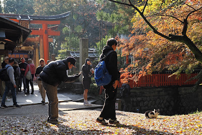 口入稲荷大神 사진 4