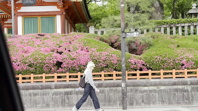야사카 신사 서루문 사진 2
