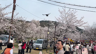 東北門鳥居 사진 2