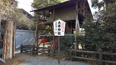 오이 신사 사진 3