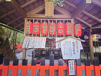 노노미야 신사 사진 3