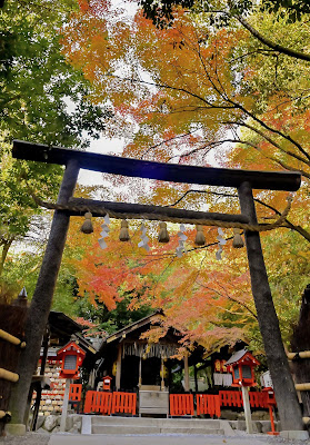 Nonomiya Shrine Black Torii gate