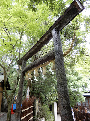 Nonomiya Shrine Black Torii gate 사진 3