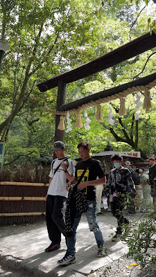Nonomiya Shrine Black Torii gate 사진 2
