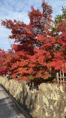 Hachimangu 사진 2