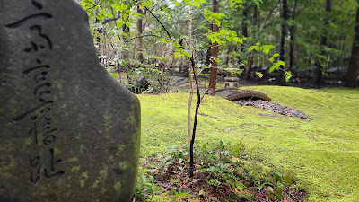 Green Blanket of Mosses 사진 4