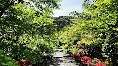 팔사궁 사진 2