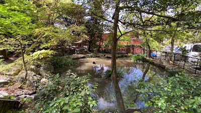 요시다 신사 용택지 사진 2