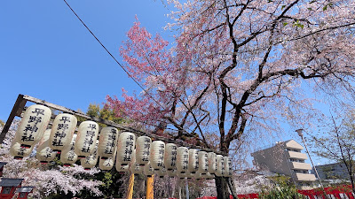사루타히코 신사 사진 4