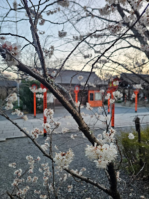 서쪽 도리이 사진 3