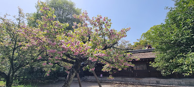 히라노 신사 사무소 사진 5