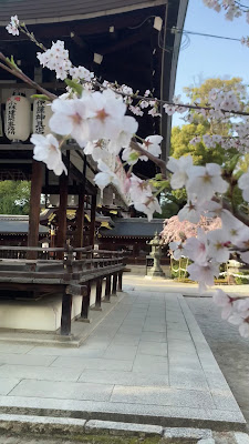 이마미야 신사 신교 사진 2